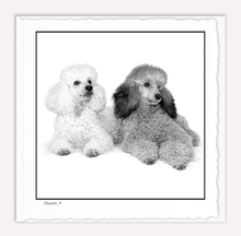 Load image into Gallery viewer, POODLES