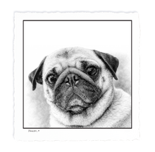 Load image into Gallery viewer, PUG
