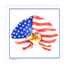 Load image into Gallery viewer, Orchid USA