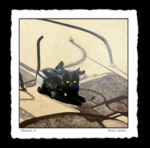 Load image into Gallery viewer, Black Cat Card and Gift