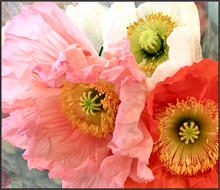 Load image into Gallery viewer, Delicate Floral
