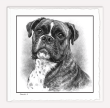 Load image into Gallery viewer, Boxer