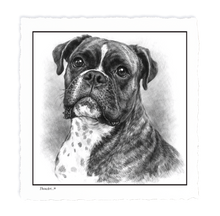 Load image into Gallery viewer, Boxer