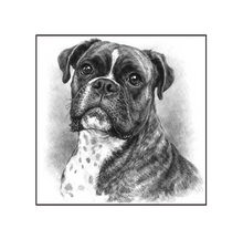 Load image into Gallery viewer, Boxer