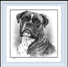 Load image into Gallery viewer, Boxer