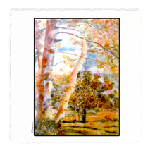 Load image into Gallery viewer, Fall Card and Gift