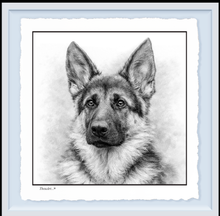 Load image into Gallery viewer, German Shepard