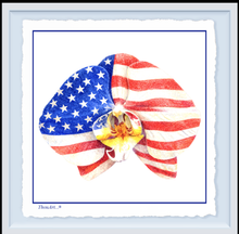 Load image into Gallery viewer, Orchid USA