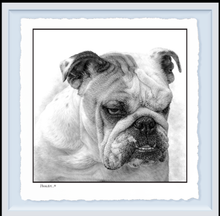 Load image into Gallery viewer, English Bulldog