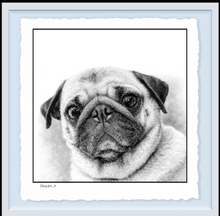 Load image into Gallery viewer, PUG