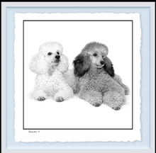 Load image into Gallery viewer, POODLES
