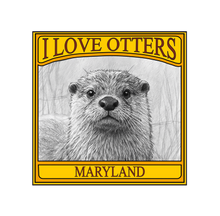 Load image into Gallery viewer, I Love Otters