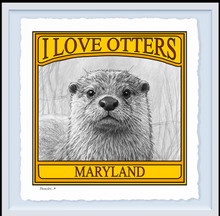 Load image into Gallery viewer, I Love Otters
