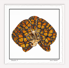 Load image into Gallery viewer, Orchid Butterfly