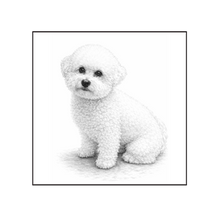 Load image into Gallery viewer, Bichon Frise
