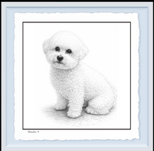 Load image into Gallery viewer, Bichon Frise