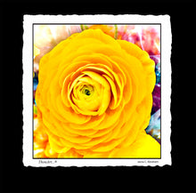 Load image into Gallery viewer, Yellow Rose