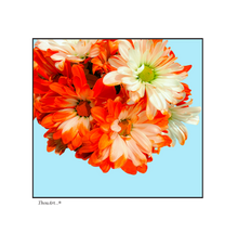 Load image into Gallery viewer, Orange Flowers