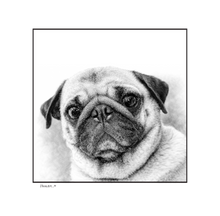 Load image into Gallery viewer, PUG