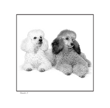 Load image into Gallery viewer, POODLES