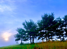 Load image into Gallery viewer, American Landscape