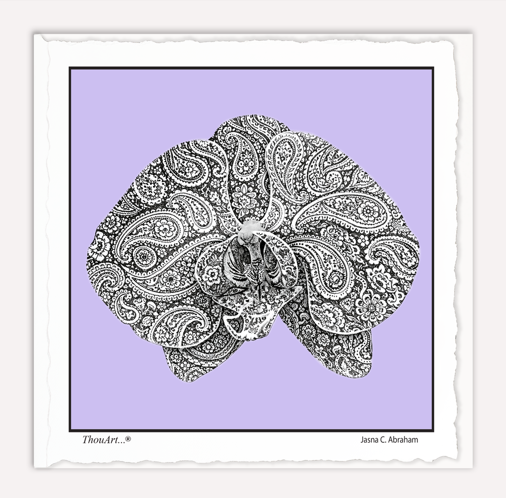 Orchid Paisley