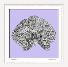 Load image into Gallery viewer, Orchid Paisley
