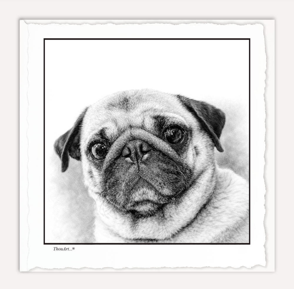 PUG