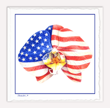 Load image into Gallery viewer, Orchid USA
