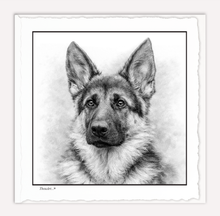 Load image into Gallery viewer, German Shepard
