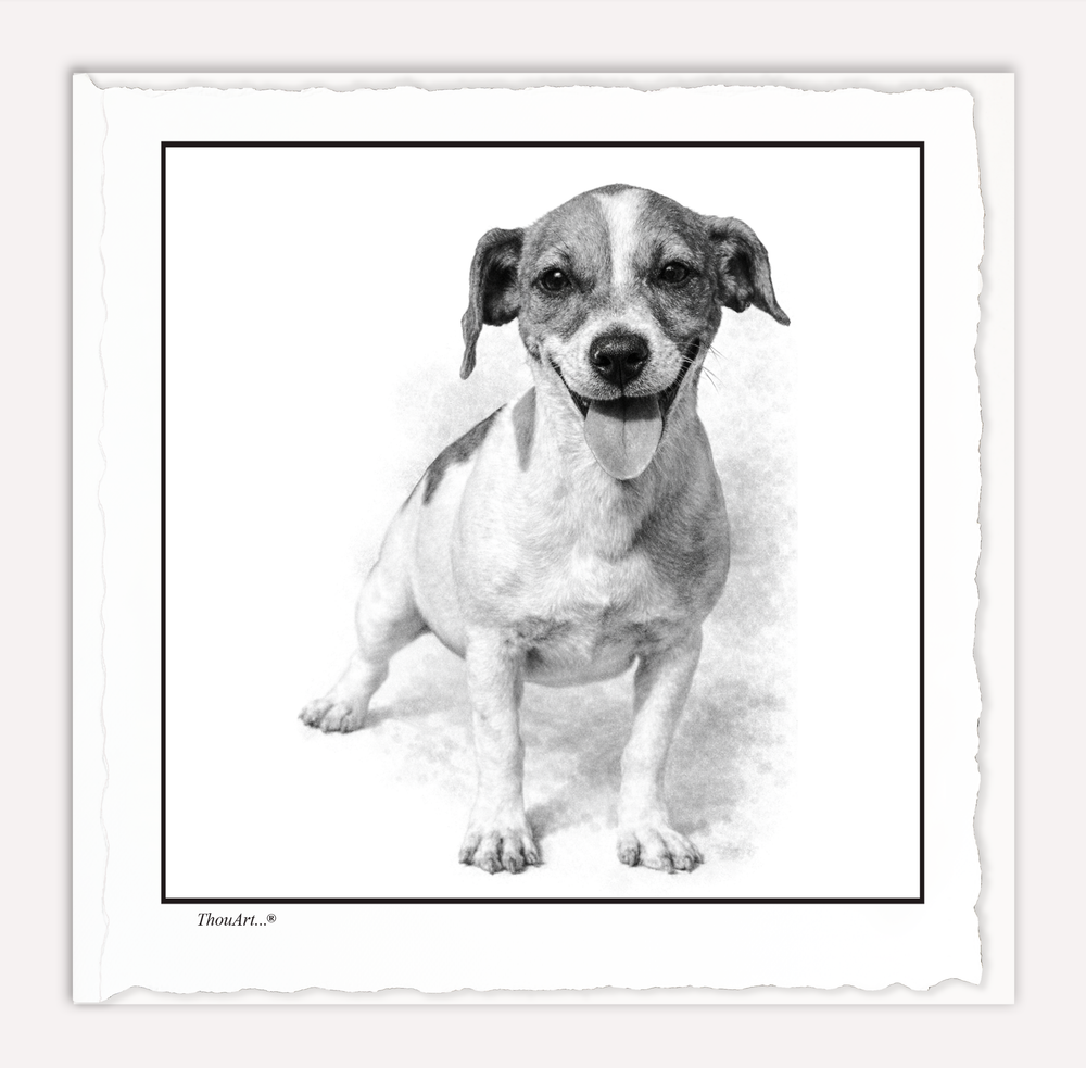 Jack Russell