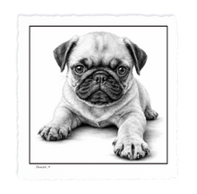 Load image into Gallery viewer, PUG Puppy
