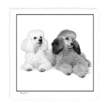 Load image into Gallery viewer, POODLES
