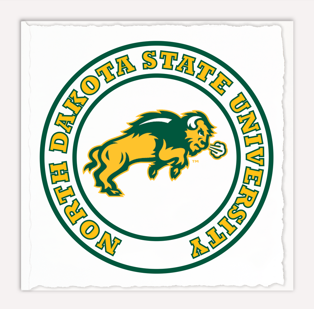 Bison