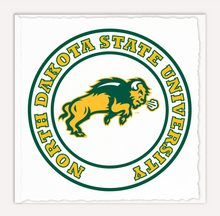Load image into Gallery viewer, Bison
