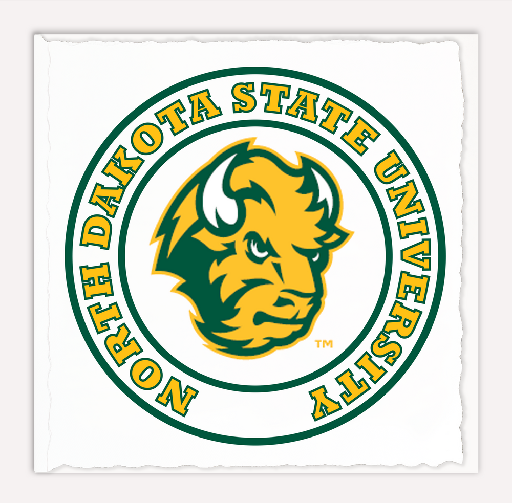 Bison 2
