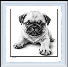 Load image into Gallery viewer, PUG Puppy
