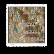 Load image into Gallery viewer, First Expression
