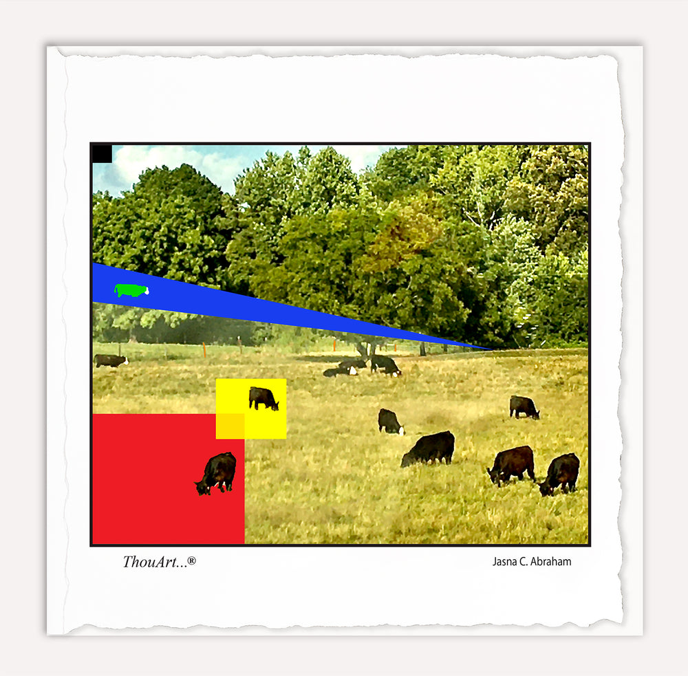 Here A Cow There A Cow