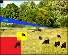 Load image into Gallery viewer, Here A Cow There A Cow
