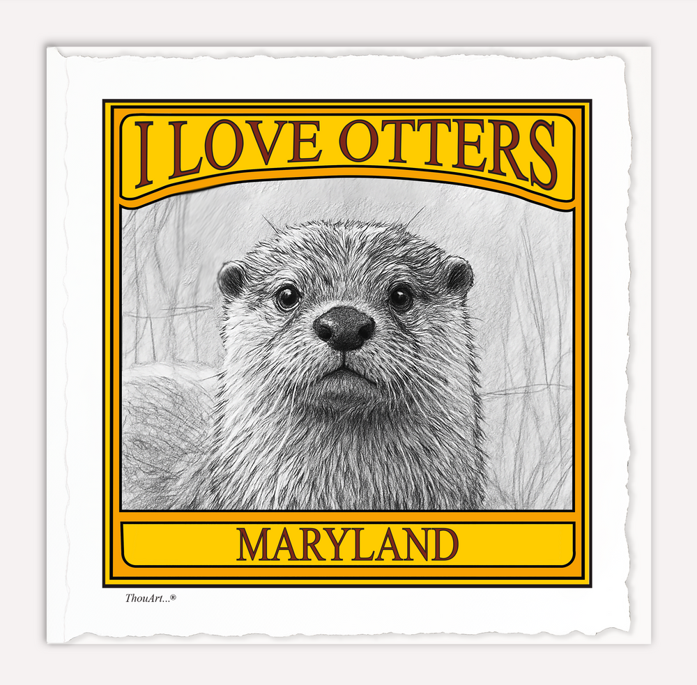 I Love Otters