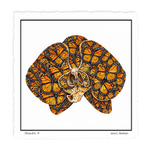 Load image into Gallery viewer, Orchid Butterfly
