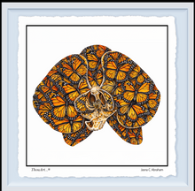 Load image into Gallery viewer, Orchid Butterfly
