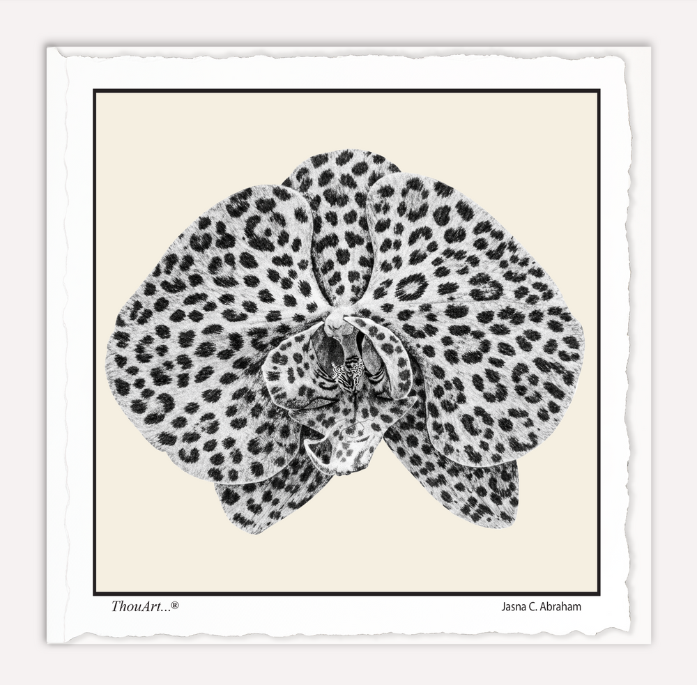 Orchid Leopard