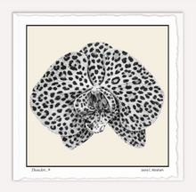 Load image into Gallery viewer, Orchid Leopard
