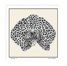Load image into Gallery viewer, Orchid Leopard
