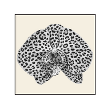 Load image into Gallery viewer, Orchid Leopard
