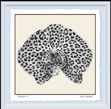 Load image into Gallery viewer, Orchid Leopard

