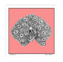 Load image into Gallery viewer, Orchid Peacock
