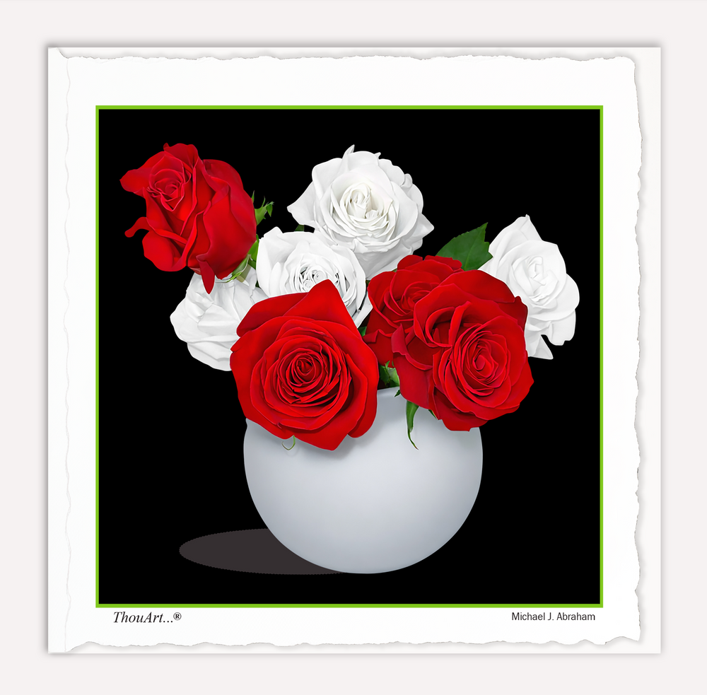 Four Red + White Roses